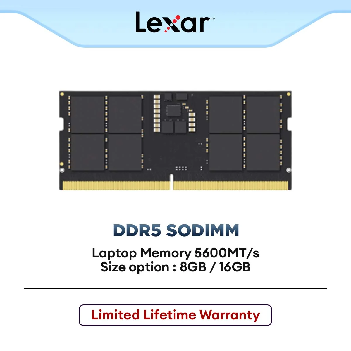 Lexar DDR5 SODIMM Laptop Memory 5600MT/s Notebook RAM (8GB / 16GB)